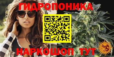 МДПВ Дмитров