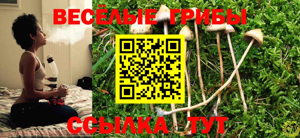 Галлюциногенные грибы Magic Shrooms Дивногорск