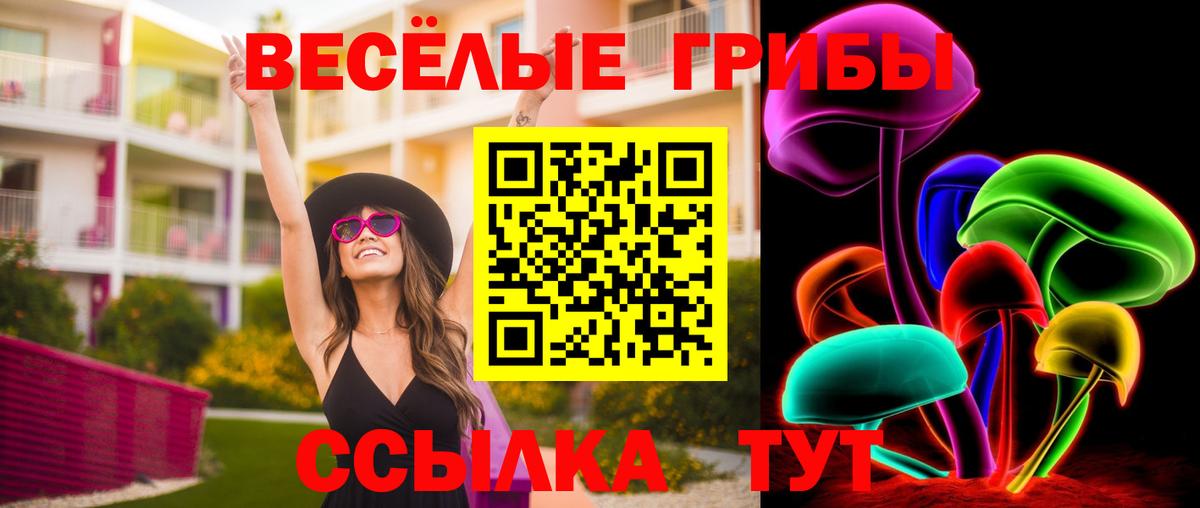 Псилоцибиновые грибы Cubensis  Псилоцибиновые грибы GOLDEN TEACHER  Вход с VPN  Дивногорск 